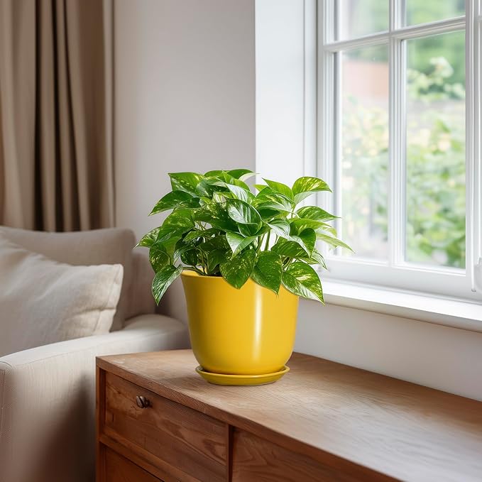 Ceramic Plant Pots - Image 5