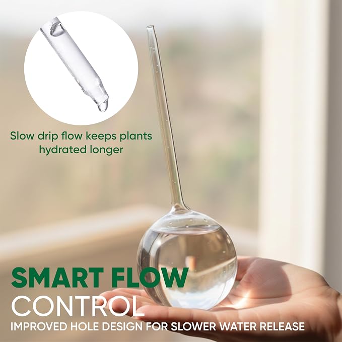Clear Plant Watering Globes Set of 6 - Image 4