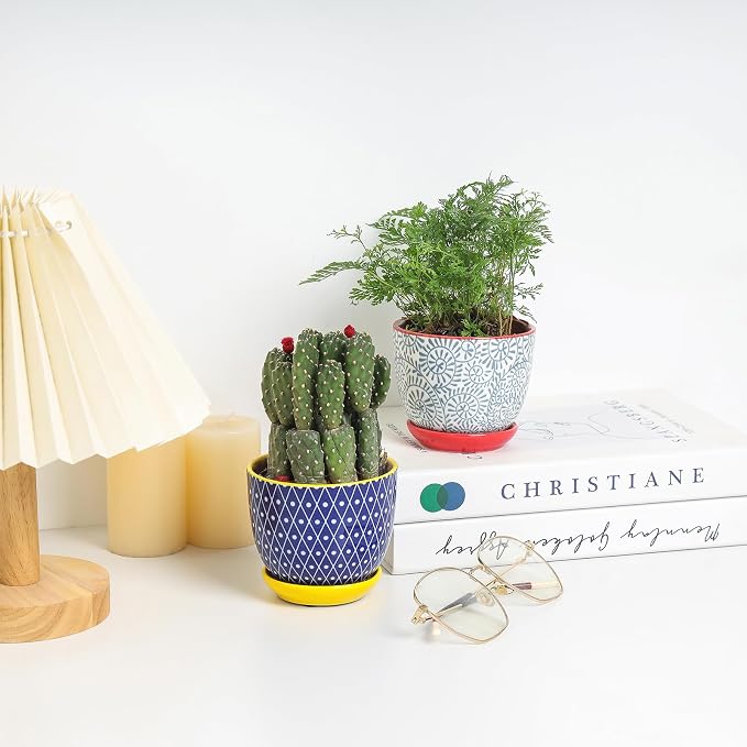 Selamica Ceramic Succulent Pots, 4.6 Inch Small Plant Pots - Image 4