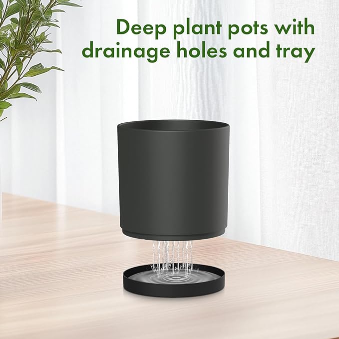 10/8/6 inch Large Deep Plant Pots - Image 4