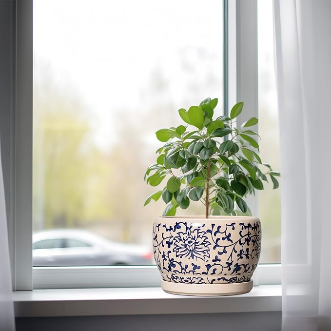 SQOWL Ceramic Planters for Indoor Plants - Image 4