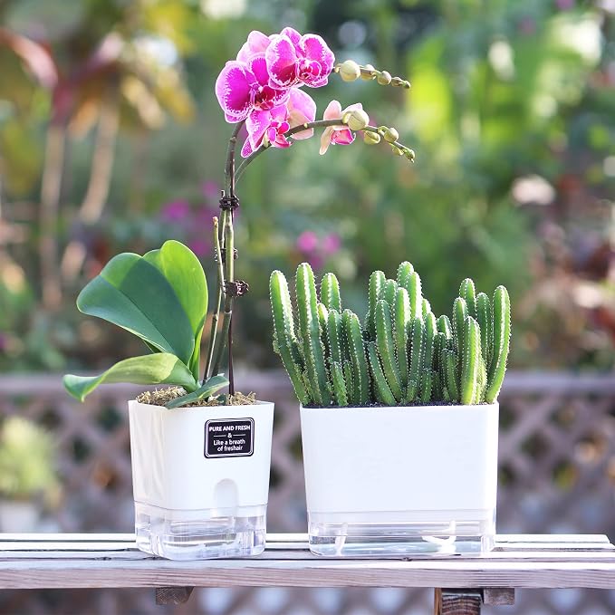 FAMZ Self Watering Planters 4 Pack，Self Watering Pots - Image 3