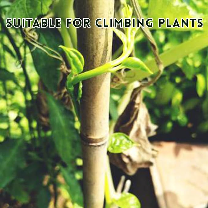 Garden Stakes, 18 Inches Natural Bamboo Plant Stakes, Plant Support Stakes - Image 5