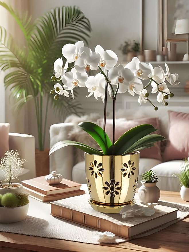 Oairse 6 inch Orchid Pots with Holes, Indoor Plant - Image 7