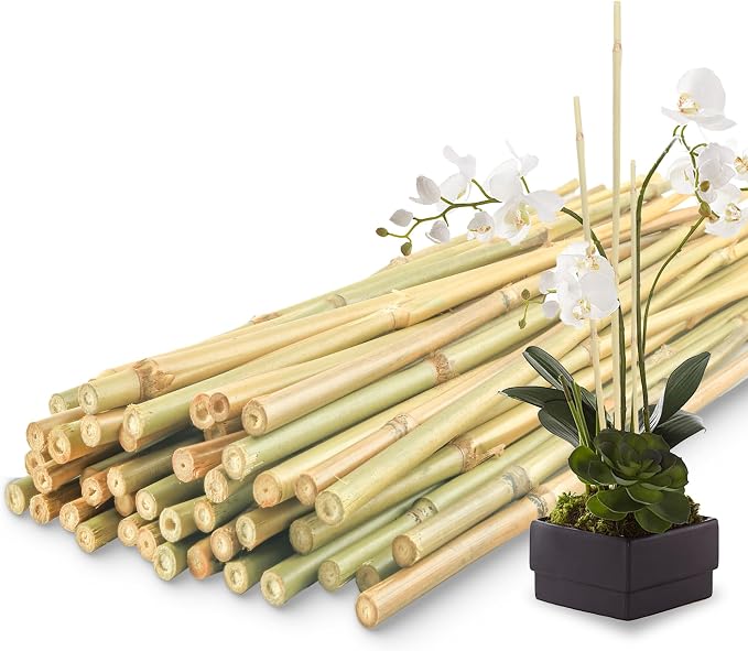 50Pcs / 2ft Bamboo Plant Stakes by Avalution