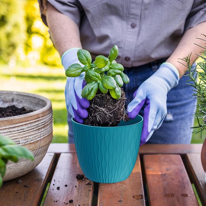 6 inch Plant Pots, 5 Pack Flower Pots - Image 4