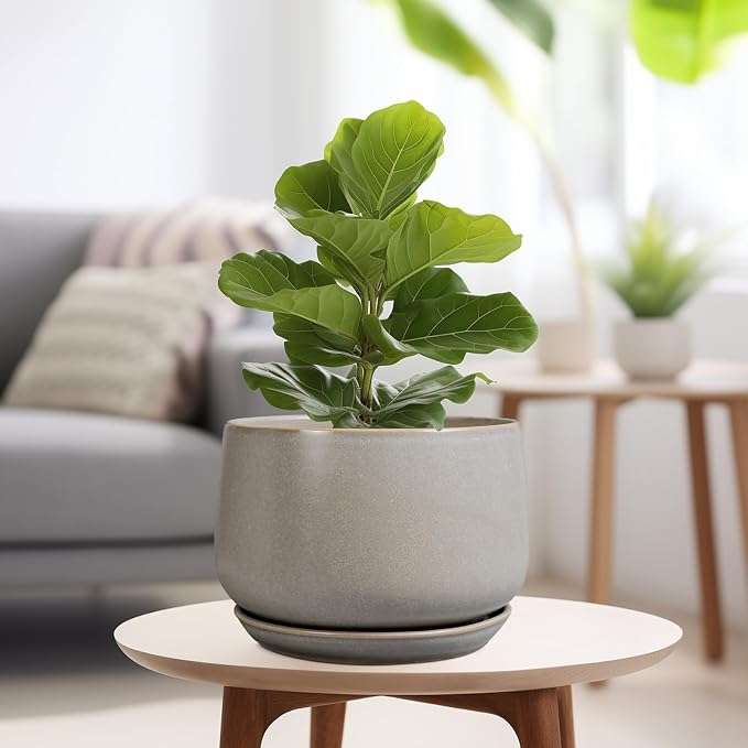 G EPGardening Ceramic Planter 9 Inch - Image 4