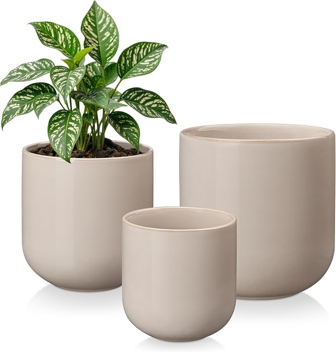 vancasso 6+8+10 inches Ceramic Plant Pots, Planters by vancasso