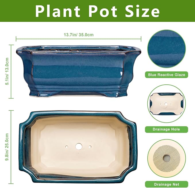 Bonsai Tree Pot - Image 2