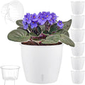 Self Watering Pots for Indoor Plants, Small African Violet Pots by KvyusFlourish