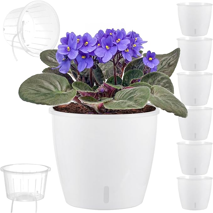 Self Watering Pots for Indoor Plants, Small African Violet Pots by KvyusFlourish