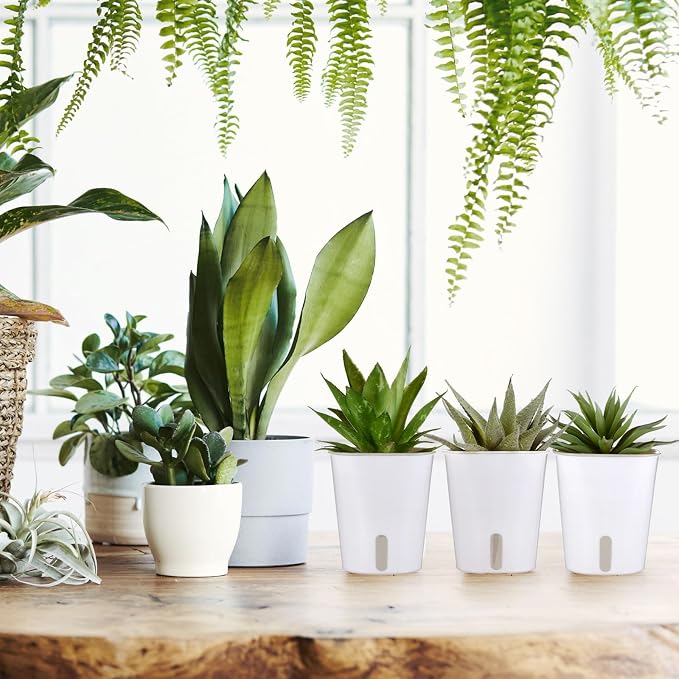 30 Pcs 3 Inch Self Watering Pots Self Watering Planters - Image 6