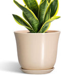 8 Inch Plant Pot by SUNPOTFOR
