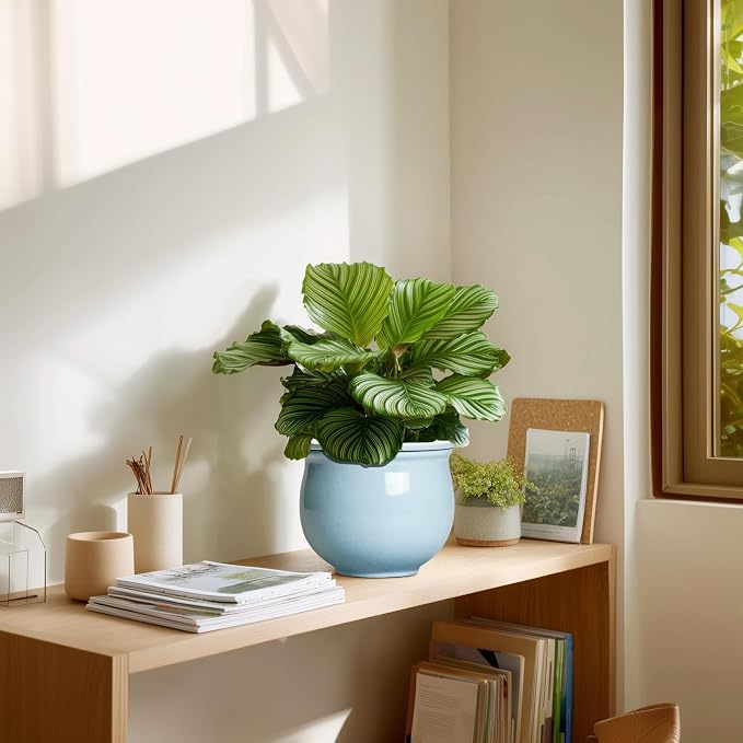 Ceramic African Violet Pots for Indoor Plants, 6 Inch Self Watering Planters - Image 7