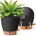 T4U 2 Pack 8 Inch Self Watering Pots by T4U
