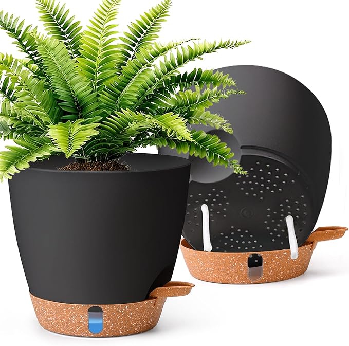 T4U 2 Pack 8 Inch Self Watering Pots by T4U