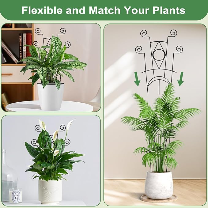 Indoor Plant Trellis for Climbing Plants 2 Pack Small Garden Metal Support for - Image 5