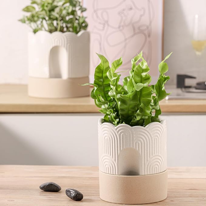 Nihow Self Watering Plant Pot for Indoor Plants : 6 Inch & 8 Inch Ceramic - Image 5
