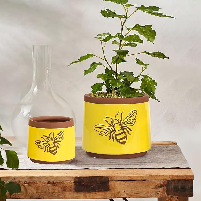 YBX Terracotta Pots Inch with Drainage Holes, Bee Decor, Ceramic Pots - Image 4
