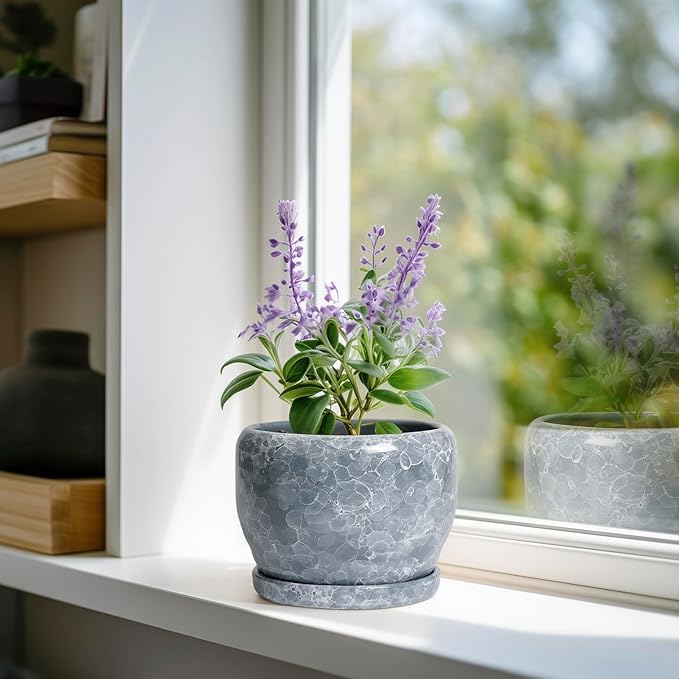 SQOWL 6 Inch Plant pots Indoor - Image 2