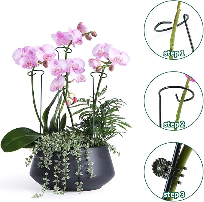 12 Pack Plant Support Stakes - Image 5