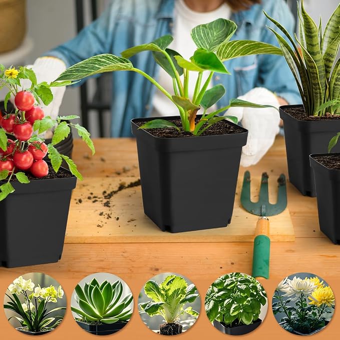 Square Nursery Pots 5.5 Inch, Plastic Plant Pot - Image 6