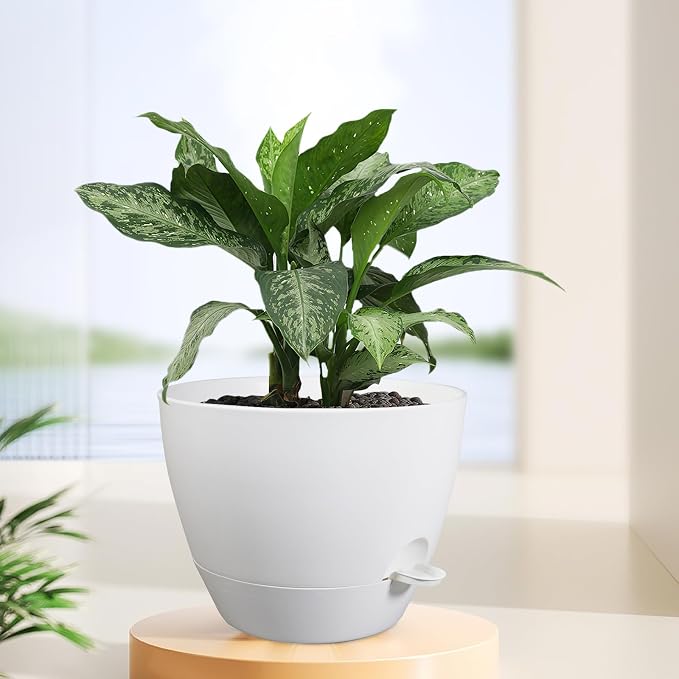 12 inch Large Self Watering Pots - Image 6