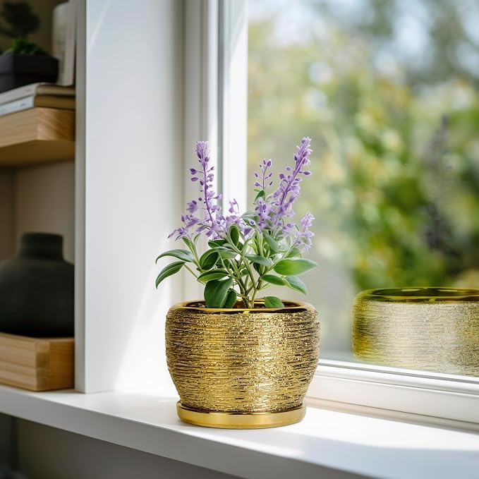SQOWL Ceramic Planter - Image 2