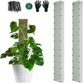 40" Metal Moss Pole, D Shape Sphagnum Moss Pole, Moss Poles by HOLANHING