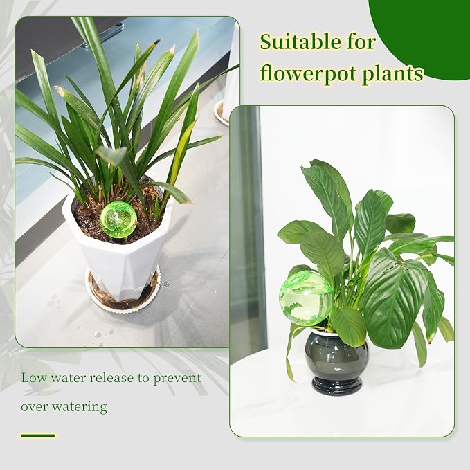 6pcs Large Plant Self Watering Globes, 17.5 oz Plastic Water Bulbs Top Fill - Image 5