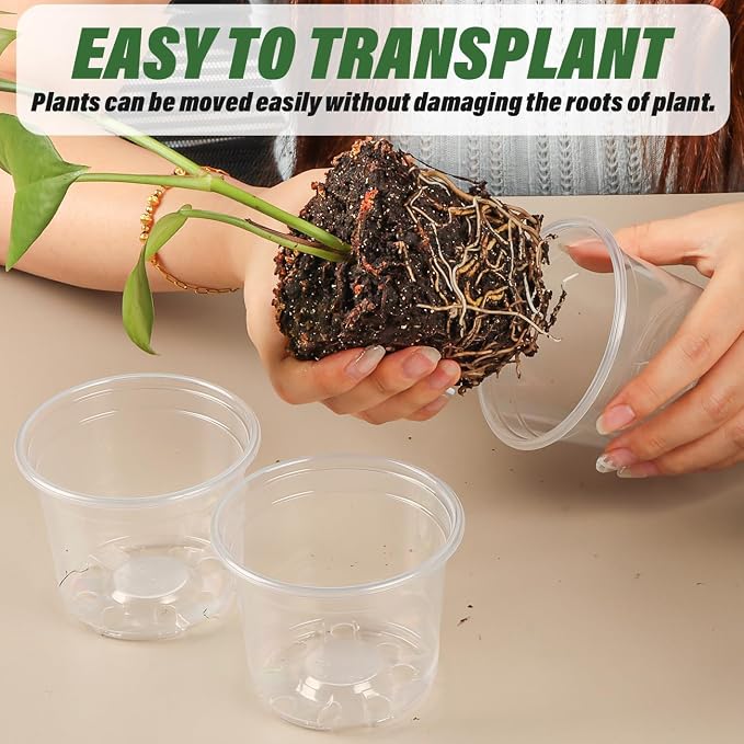 Clear Seedling pots 20 Pack 3.2 Inches Round - Image 5
