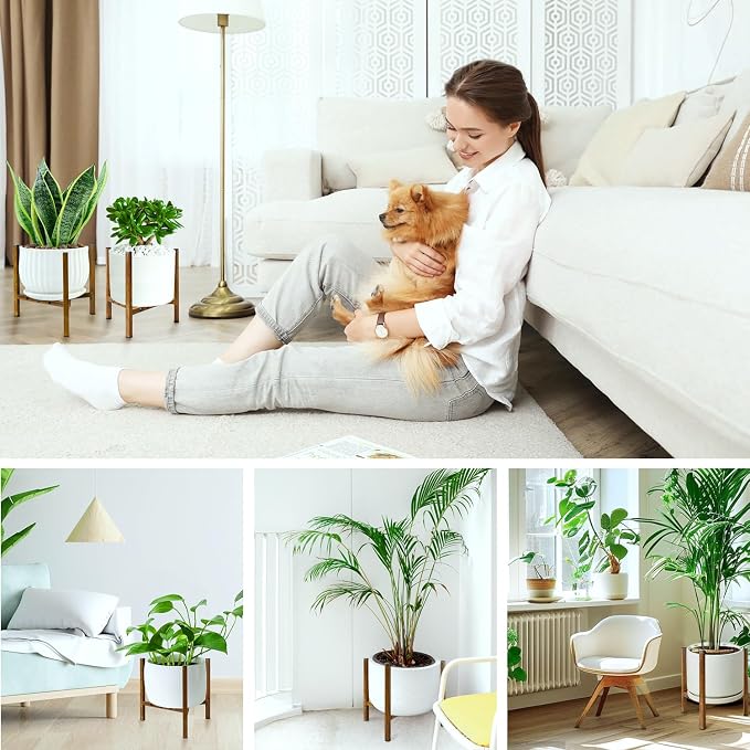 Airpark Adjustable Plant Stand Indoor, Metal Mid Century Modern Plants Stands - Image 5