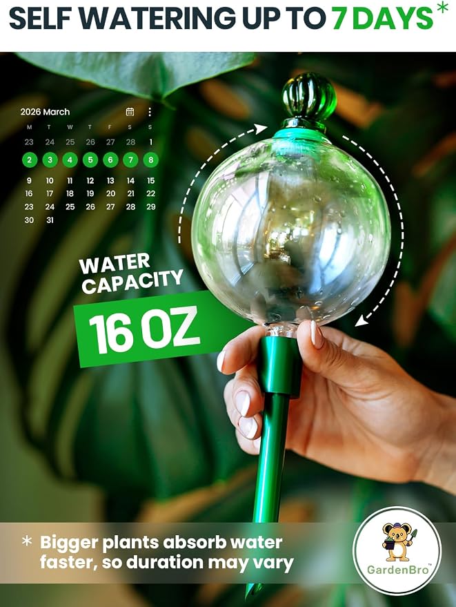 16 Oz Plant Watering Globes for Indoor Plants - Image 2