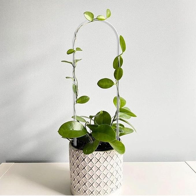 2 Pack Thickened U-Shaped Acrylic Trellis - Image 4