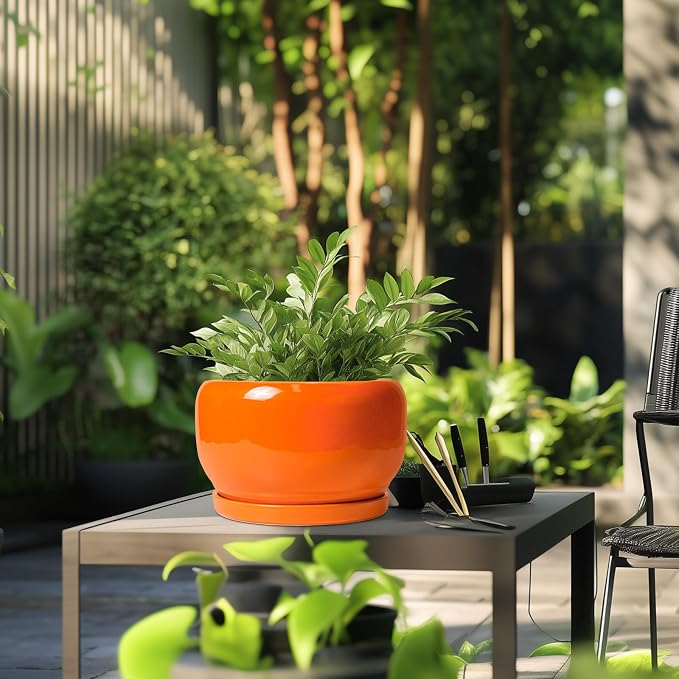 SQOWL Ceramic Planter - Image 5