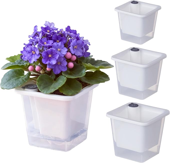 FAMZ Self Watering Pots for Indoor Plants 3 Pack，Clear Plant Pots by FAMZ