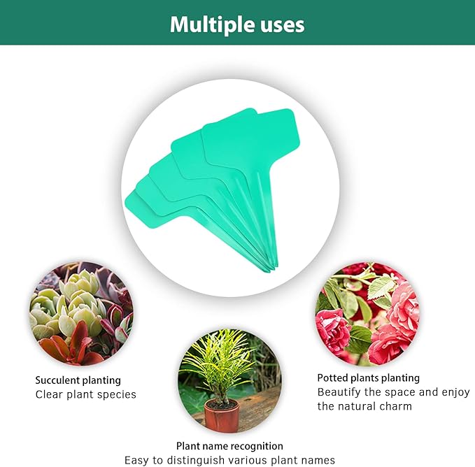 Green Plant labels - Image 4