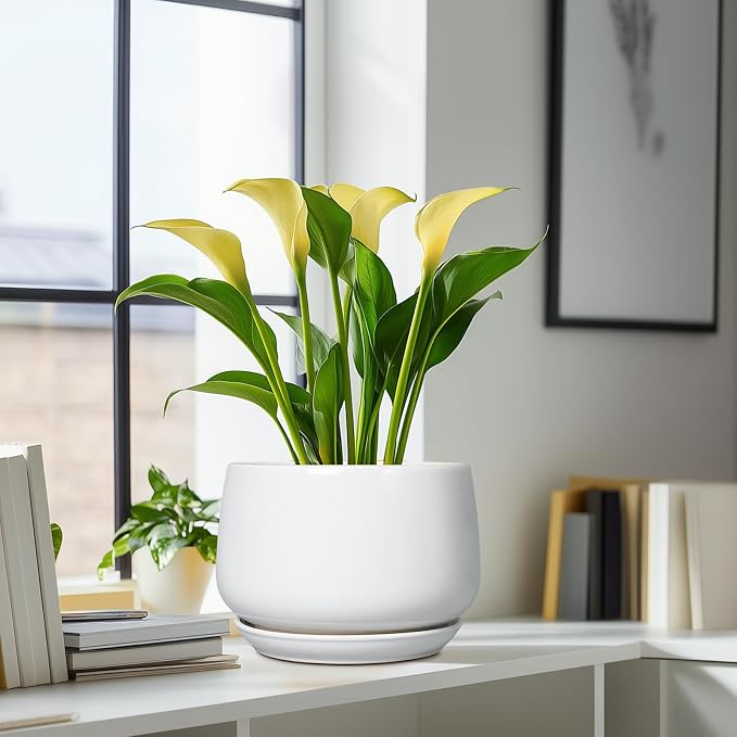 G EPGardening Ceramic Planter 9 Inch - Image 8