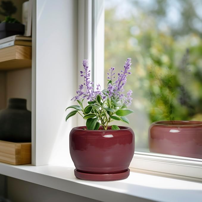 SQOWL 6 Inch Plant Pot - Image 2
