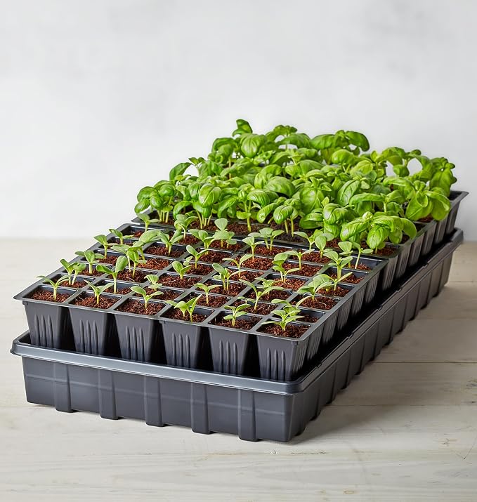 Burpee Self-Watering Seed Starter Tray, 72 Cells - Image 2