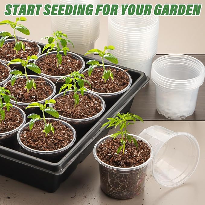 Clear Seedling pots 20 Pack 3.2 Inches Round - Image 7