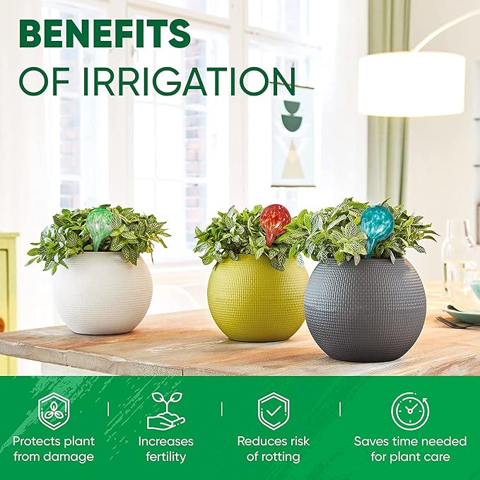 Plant Watering Globes Set of 4 - Image 4