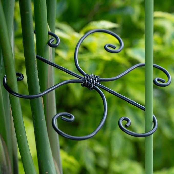 Black Monstera Plant Support 5.5IN 5PCS Premium Stem Support System - Image 6