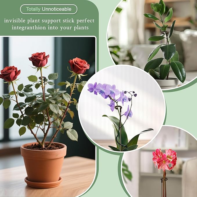 Invisible Orchid Sticks 17 inch &11 inch SupKing 16Pcs Plant Stakes - Image 5