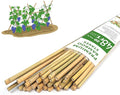 Plant Stakes, 4.8FT Longer Sturdy Natural Bamboo Garden Stakes, GAGINANG 20Pcs by GAGANANG