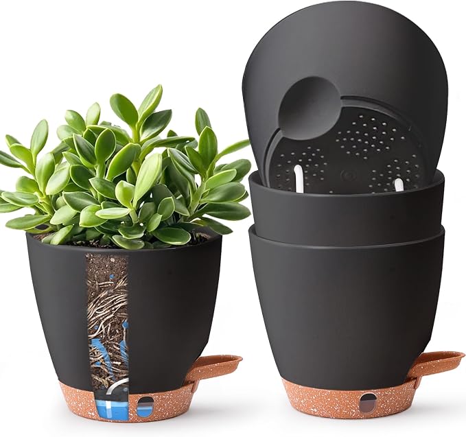 T4U 6 Inch Self Watering Pots for Indoor Plants by T4U