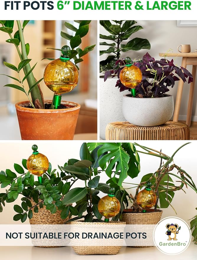 16 Oz Plant Watering Globes for Indoor Plants - Image 5
