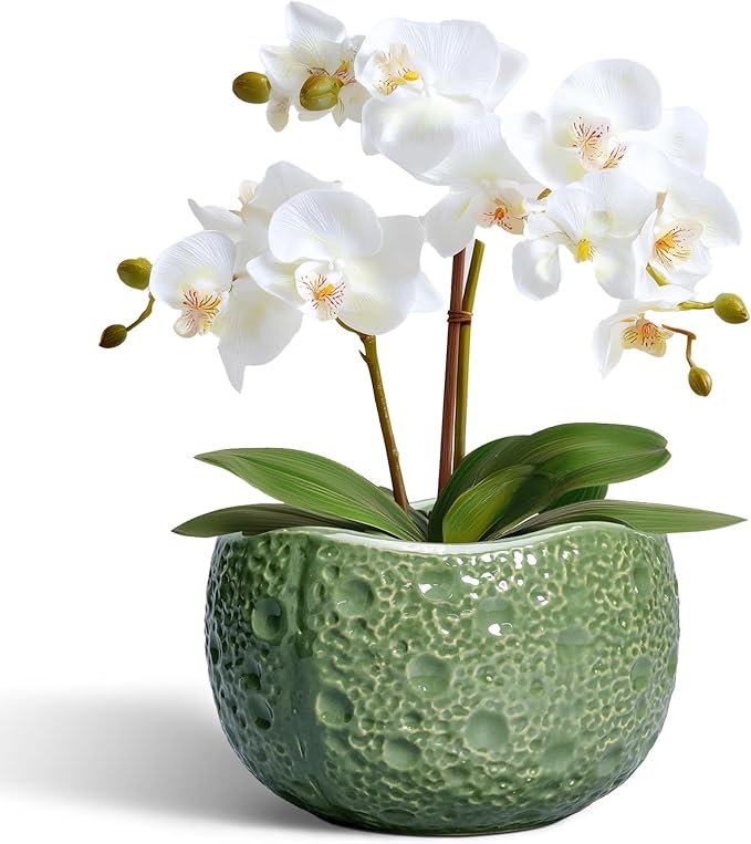 6 Inch Plant Pot by Thirtypot