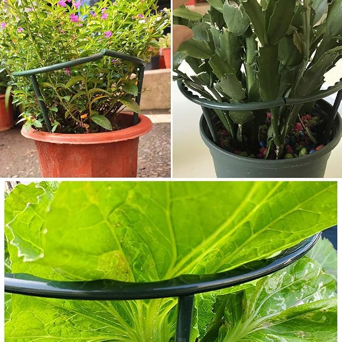 Mwellewm 10 Pack Plant Support Plant Stakes Metal Half Round Search Support - Image 2