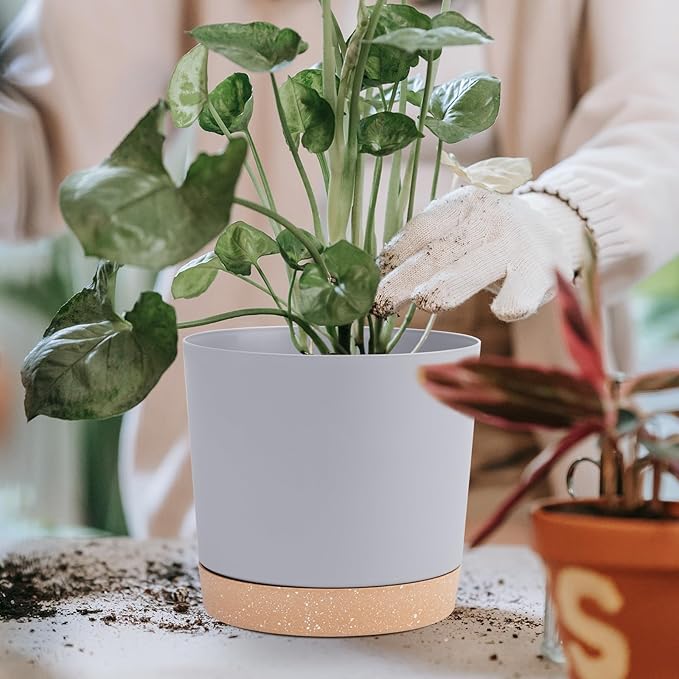 QCQHDU 6.5 inch Plant Pot, 2 Pack Planters - Image 6